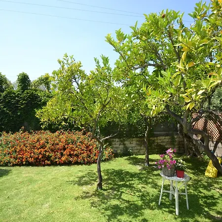 By Holiday home *